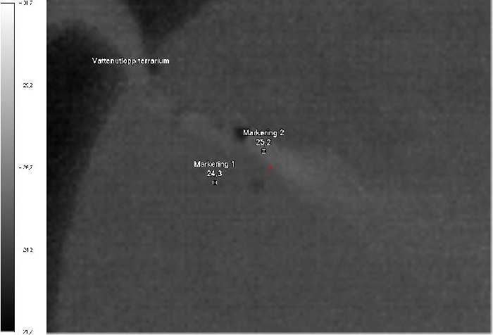 terrarium.jpg (46.97 KiB) Visad 8141 gånger Mycket små temperaturskillnader kan detekteras. Vattnet passerar ett filter och en värmare.