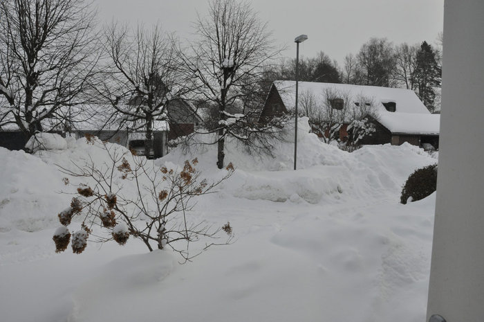 vinter1.jpg