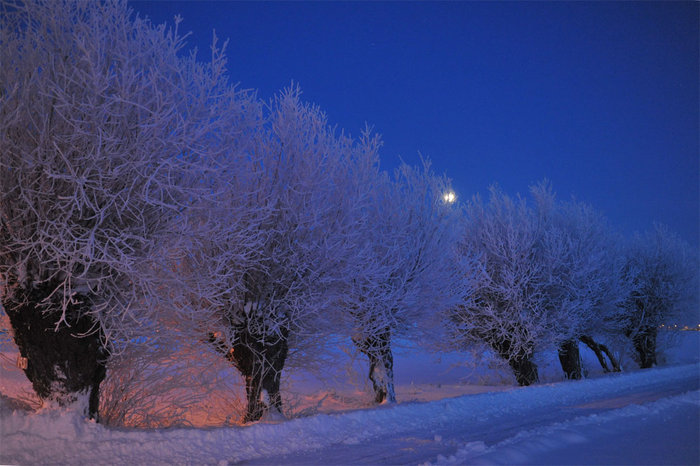 vintermorgon.jpg (200.05 KiB) Visad 31561 gånger vintermorgon.jpg